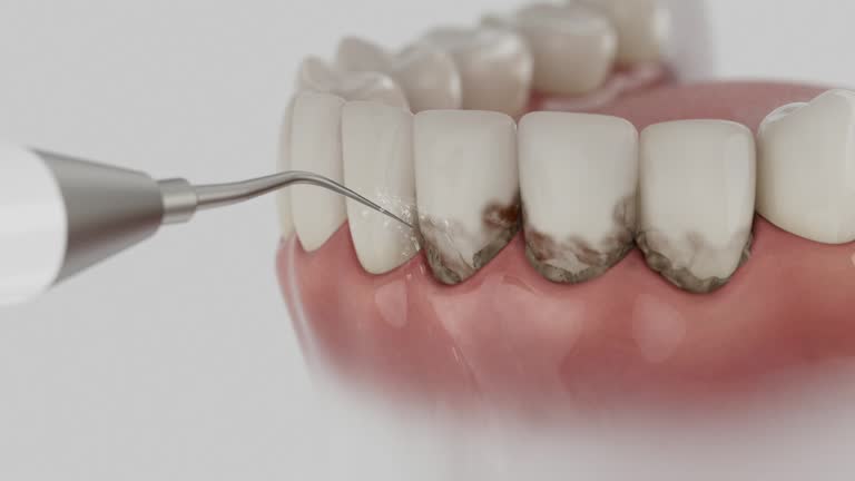Reliable Dental contractor in Warrenton, GA by Dentist Open Now